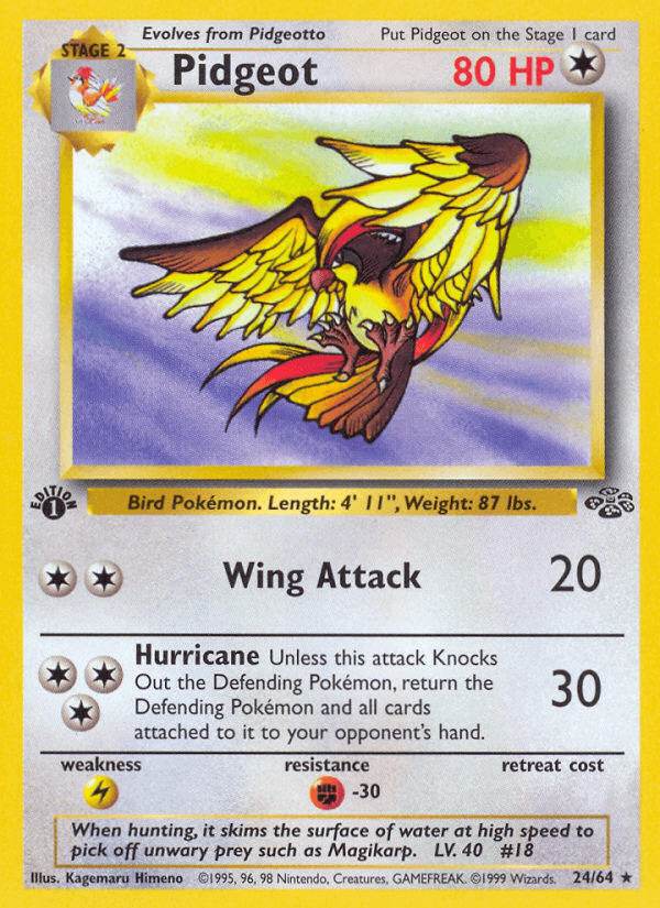 Pidgeot (Jungle #24)
